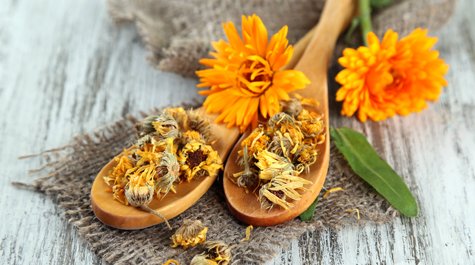 Měsíček lékařský a jeho využití pro citlivou pleť