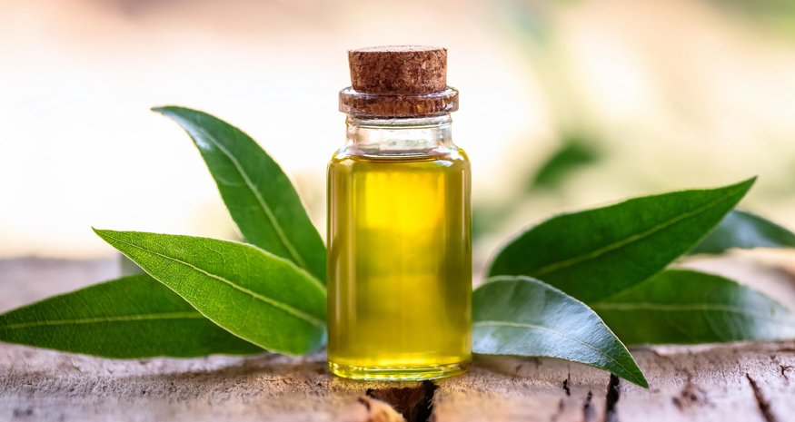 Tea tree olej: Jaké má účinky a jak ho použít v péči o pleť? - hero