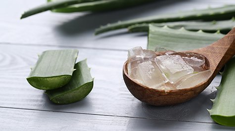 Aloe vera na ple: Hydratace a zklidnn v jednom| Garnier