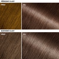 Garnier Olia Gloss - Barvící vlasová maska Expensive Brunette - 8