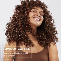 Garnier Olia Gloss - Barvící vlasová maska Cowboy Copper - 2