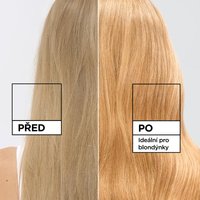 Garnier Olia Gloss - Barvící vlasová maska Old Money Blonde - 5