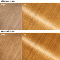Garnier Olia Gloss - Barvící vlasová maska Old Money Blonde - 8