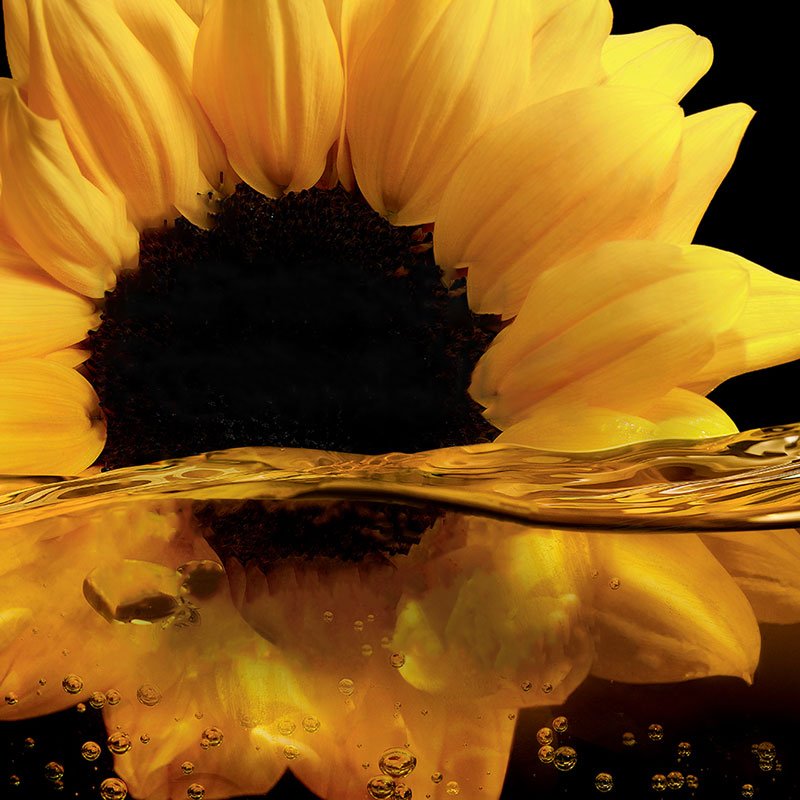 Olia Sunflower