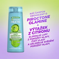 Anti Dandruff Citrus šampon pro mastné vlasy s lupy - 2