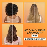 Garnier Fructis Hair Food Papaya Šampon - 4