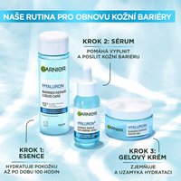 Hyaluronic Aloe Serum - 9